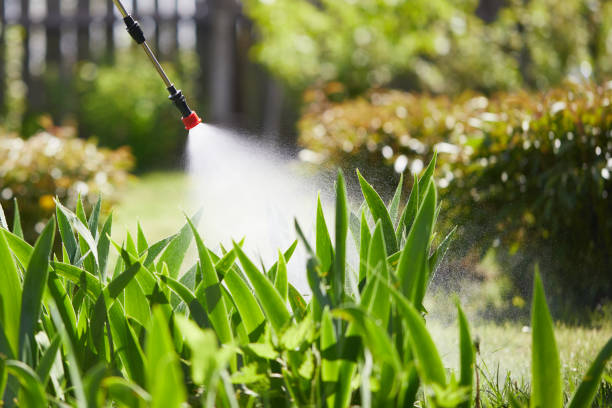 24/7 Emergency Mosquito Control experts in Globe, AZ