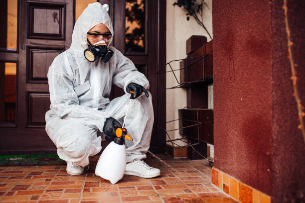 Reliable Mosquito Control contractor in Globe, AZ by Show Me Pest Control